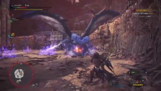 【モンスターハンターワールド】お久しぶりです！マムタロトとかナナテスカトリを！