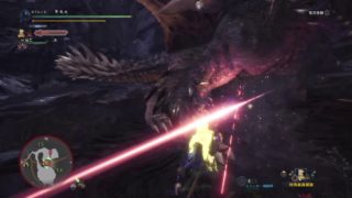 モンスターハンター：ワールド_20180610150610