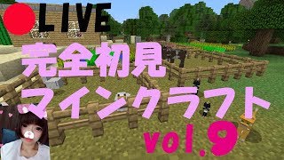 vol.9☆PS4【MAINECRAFT】ロスト３回目…【マインクラフト】