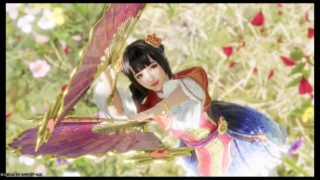 大喬(Da Qiao) 真・三國無双8 コンボ Dynasty Warriors 9 combo