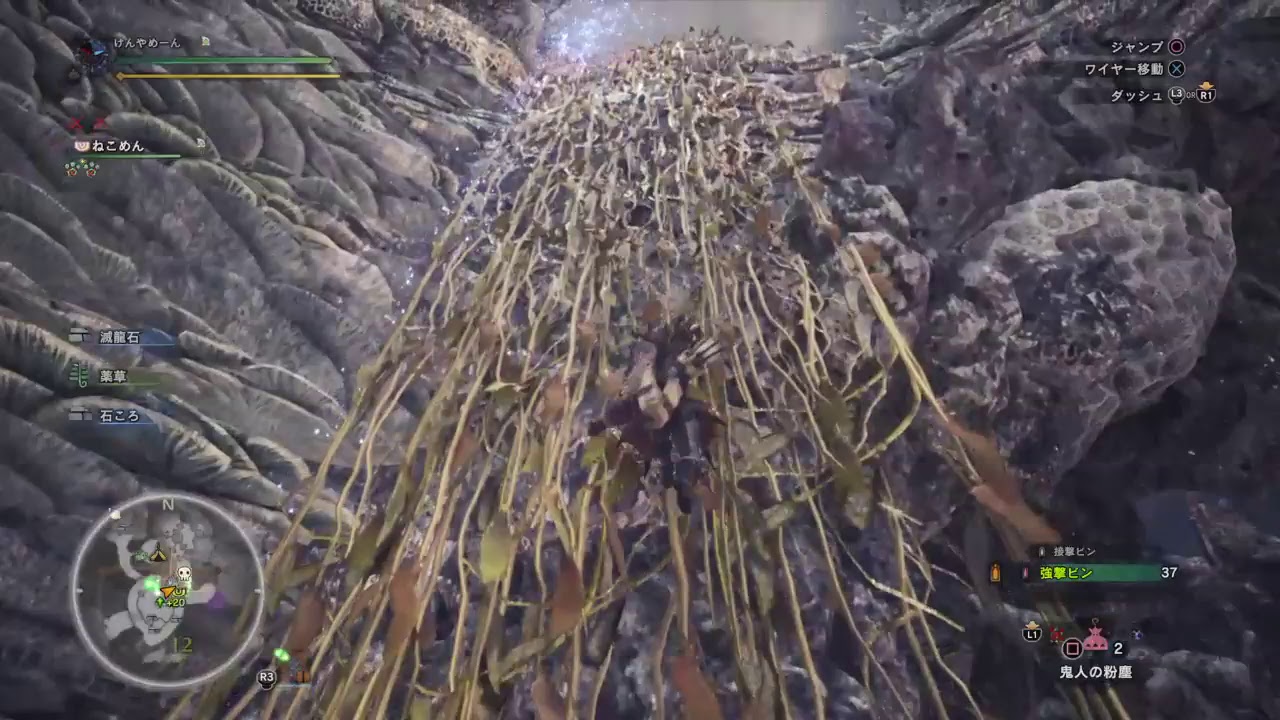 歴戦王狩［モンスターハンターワールド］