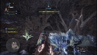 モンスターハンター：ワールド_20180612020643