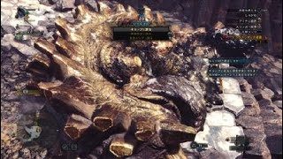 モンスターハンター：ワールド_20180511061229