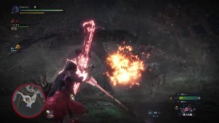 モンスターハンター：ワールド_20180608232037