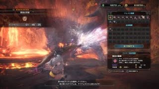 モンスターハンター：ワールド　弓ソロ　テオ1分46秒