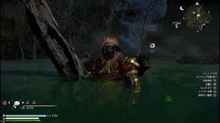 真・三國無双８　毒沼のダメージ無効化に関するお話