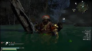 真・三國無双８　毒沼のダメージ無効化に関するお話