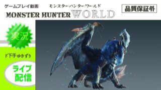 モンスターハンターワールド＜ナナ・テスカトリ戦＞ソロ