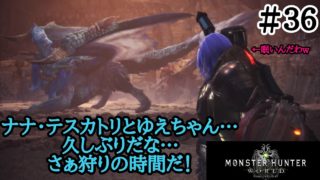 【モンスターハンター：ワールド】MHW　眠いから一戦だけナナをソロで狩る！【＃３６】