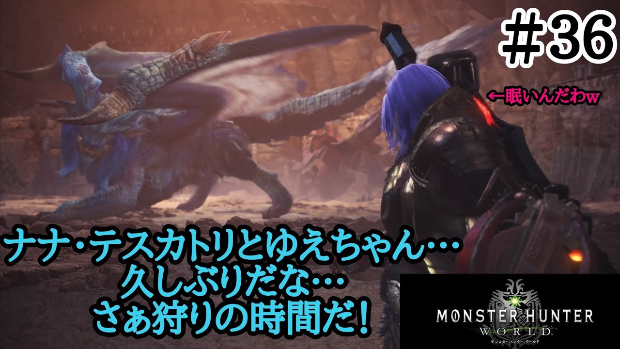 【モンスターハンター：ワールド】MHW　眠いから一戦だけナナをソロで狩る！【＃３６】