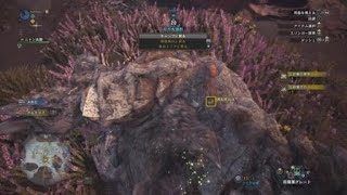 モンスターハンター：ワールド_20180611133658