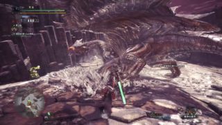 モンスターハンター：ワールド 20180606070540