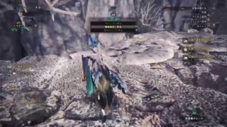 (声あり)モンスターハンターワールド