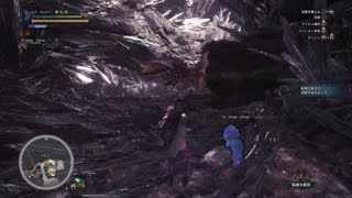 モンスターハンター：ワールド_20180602072742転身の装衣