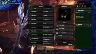 モンスターハンター：ワールド　（オールナイトモンハン？）