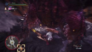 モンスターハンター：ワールド_20180610061222