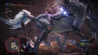 モンスターハンター：ワールド_20180610081600