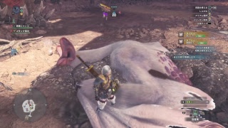 モンスターハンターワールド　～まったり～