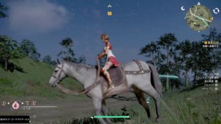 真・三國無双８　夷陵西の陣地