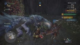モンスターハンター：ワールド_20180611155550