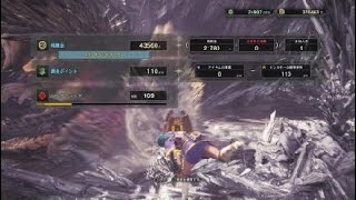 モンスターハンター：ワールド_20180601090113