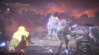 モンスターハンター：ワールド_20180609235122