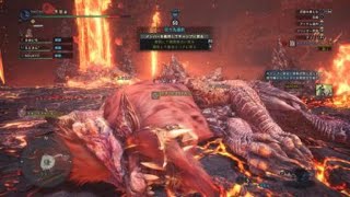 モンスターハンター：ワールド_20180602004317