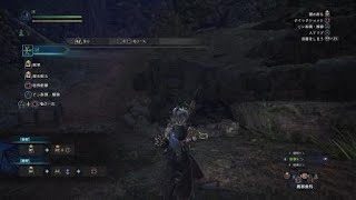 モンスターハンター：ワールド　弓練習中　ムズい目が回る（＠ ＠;）