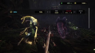 超あおのモンスターハンターワールド＃2