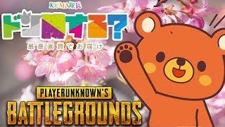 【PUBG】🐻ドン勝する？- 2018/6/6【実況ライブ】