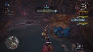 モンスターハンター：ワールド