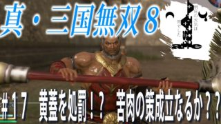 【明日雨】Astaの真・三国無双8#17【アクション】