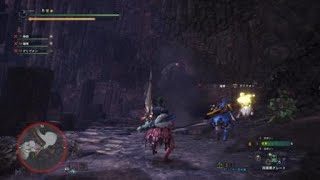 モンスターハンター：ワールド_20180612051720