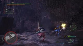 モンスターハンター：ワールド_20180612051720