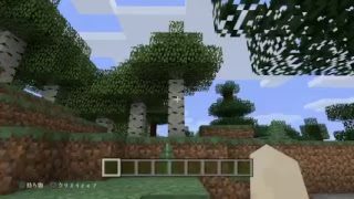 ｛りこたん配信｝りこたんのお悩み相談室！！｛マインクラフト｝