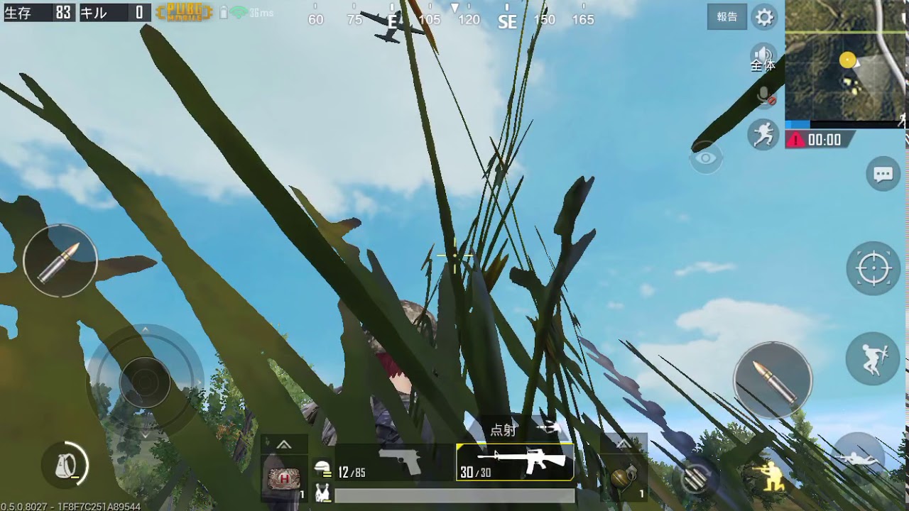 「PUBG実況」百獣の王でもドン勝がしたい！Part1