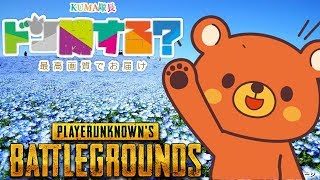 【PUBG】🐻ドン勝する？- 2018/6/2【実況ライブ】