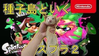 【スプラトゥーン２】フェレットとスプラやってますｗｗ　初心者のふりに向けて特訓中