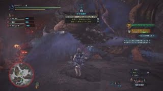 モンスターハンター：ワールド_20180610074838