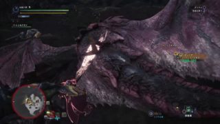 モンスターハンター：ワールド_夫婦は苦労するよ