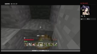 いとこがやる初めてのマインクラフト参加は、いとこに聞いて