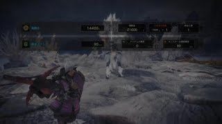 モンスターハンター：ワールド_斬烈弾でキリン討伐してみた