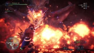 モンスターハンター：ワールド_20180602080329