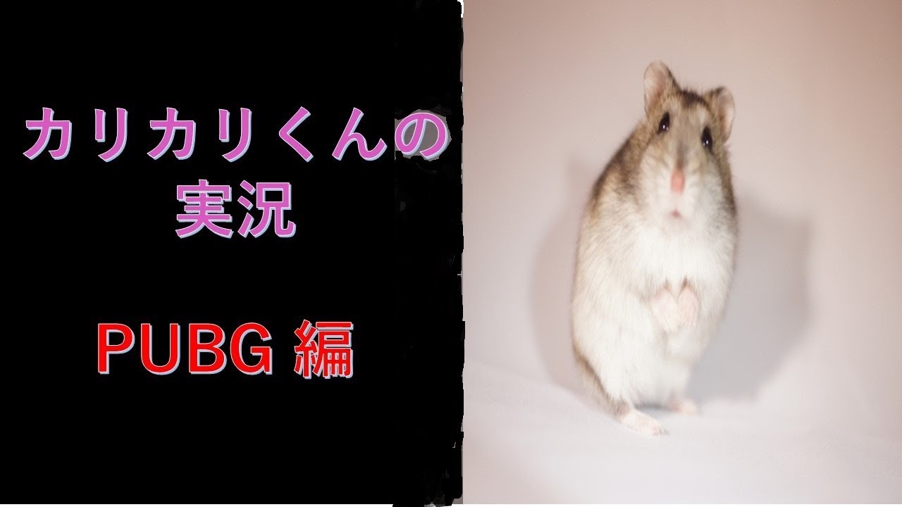 参加歓迎【PUBG モバイル 実況】【PUBG ライブ】【PLAYERUNKNOWN'S BATTLEGROUNDS】