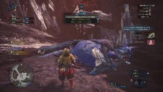 モンスターハンター：ワールド 友達とナナ狩り