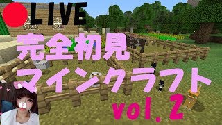 PS4【MINECRAFT】地味にコツコツしっかりと【マインクラフト】