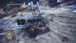 モンスターハンター：ワールド_20180609033404
