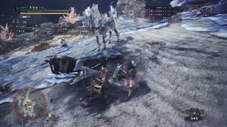 モンスターハンター：ワールド_20180609033404