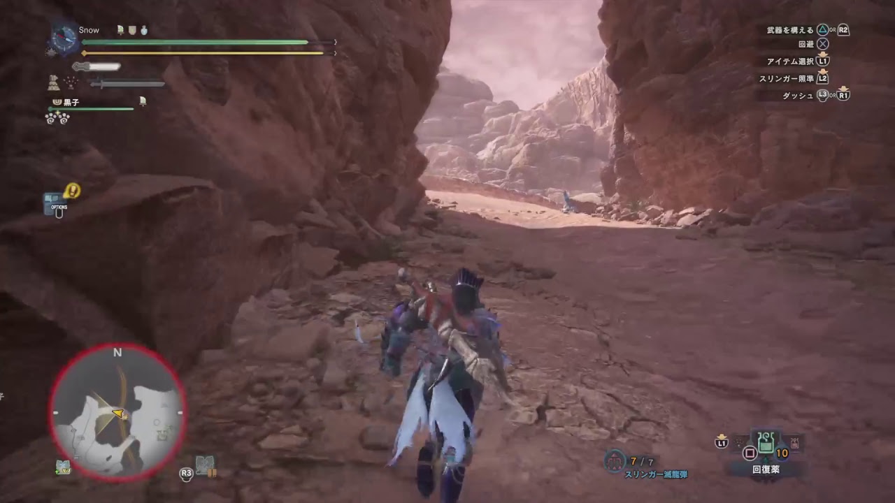 [PS4]モンスターハンター・ワールド - 炎王龍と炎妃龍