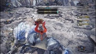 モンスターハンター：ワールド_歴戦王キリン初見オトモ-後半